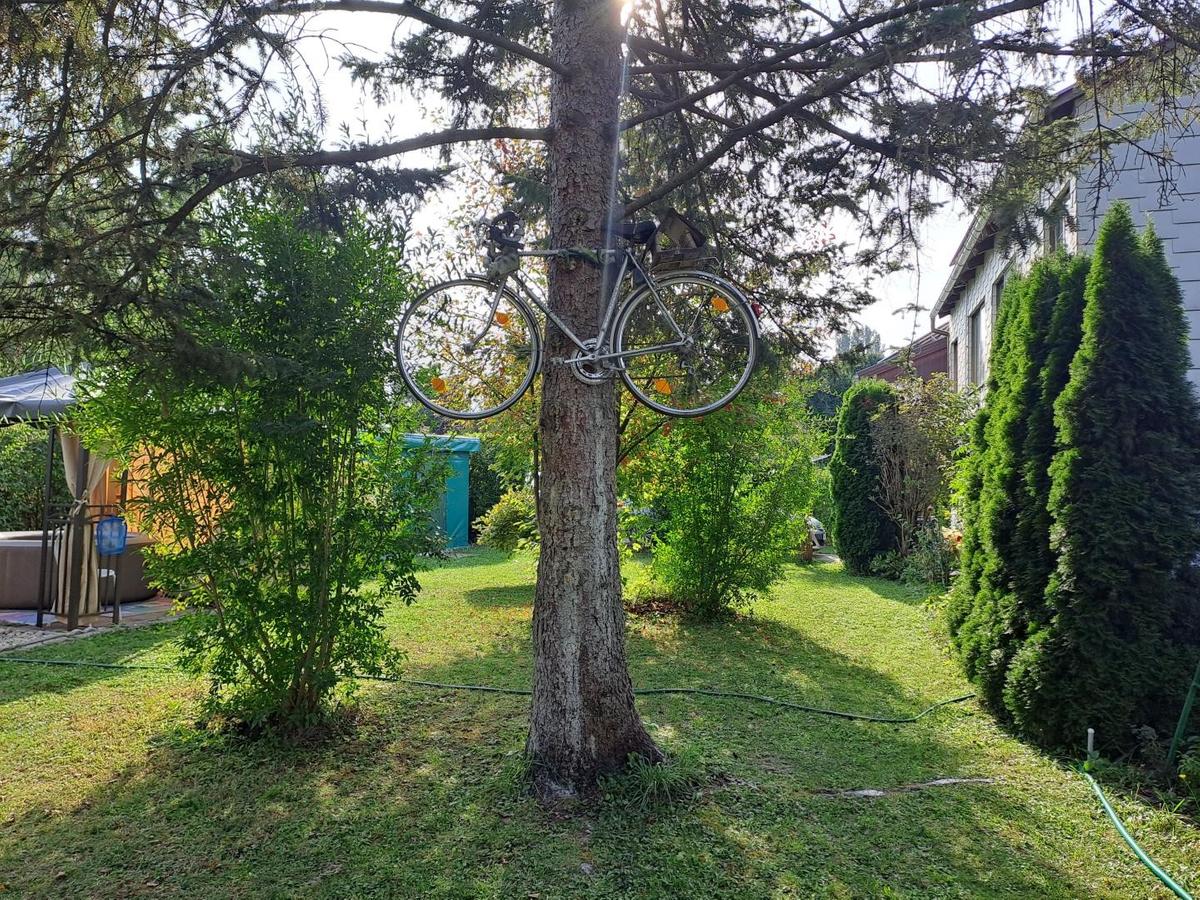 Fahrrad auf Baum