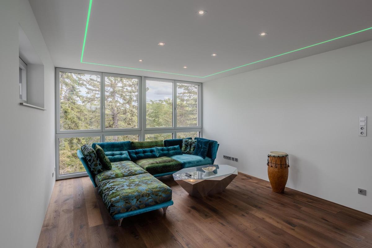 Penthouse 1220 Wien 1 OG