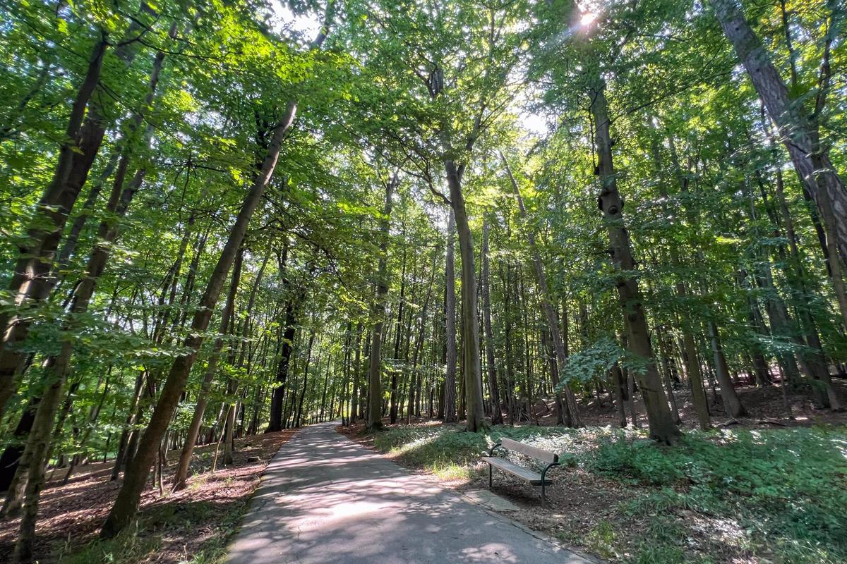 19. Mietwohnung 1180 Wien