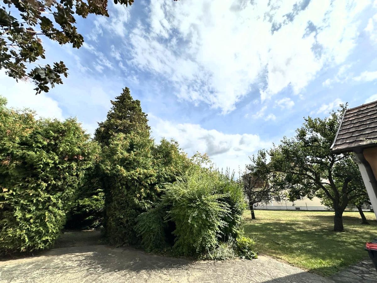 23 Garten