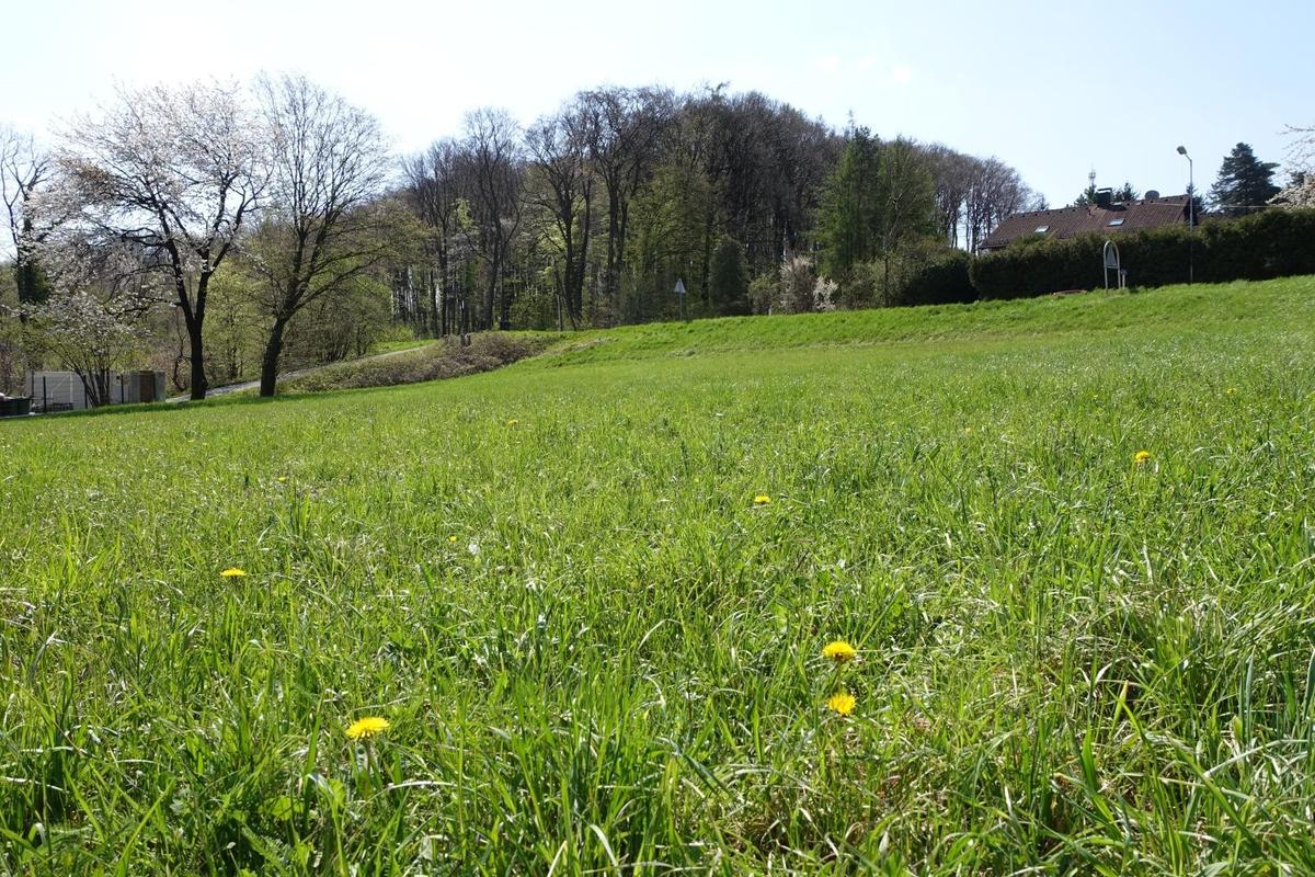 01 Grundstück in Ried am Riederberg