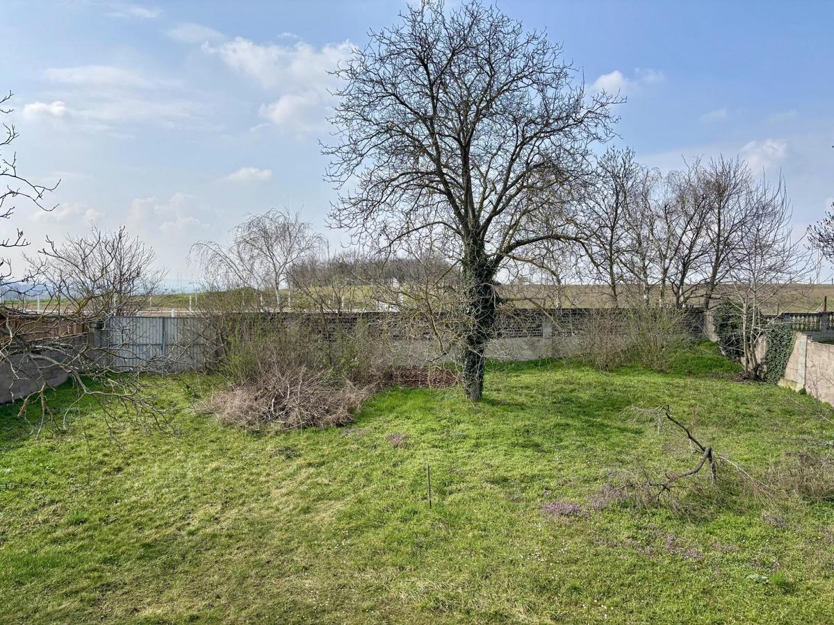EFH_2471 Schönabrunn