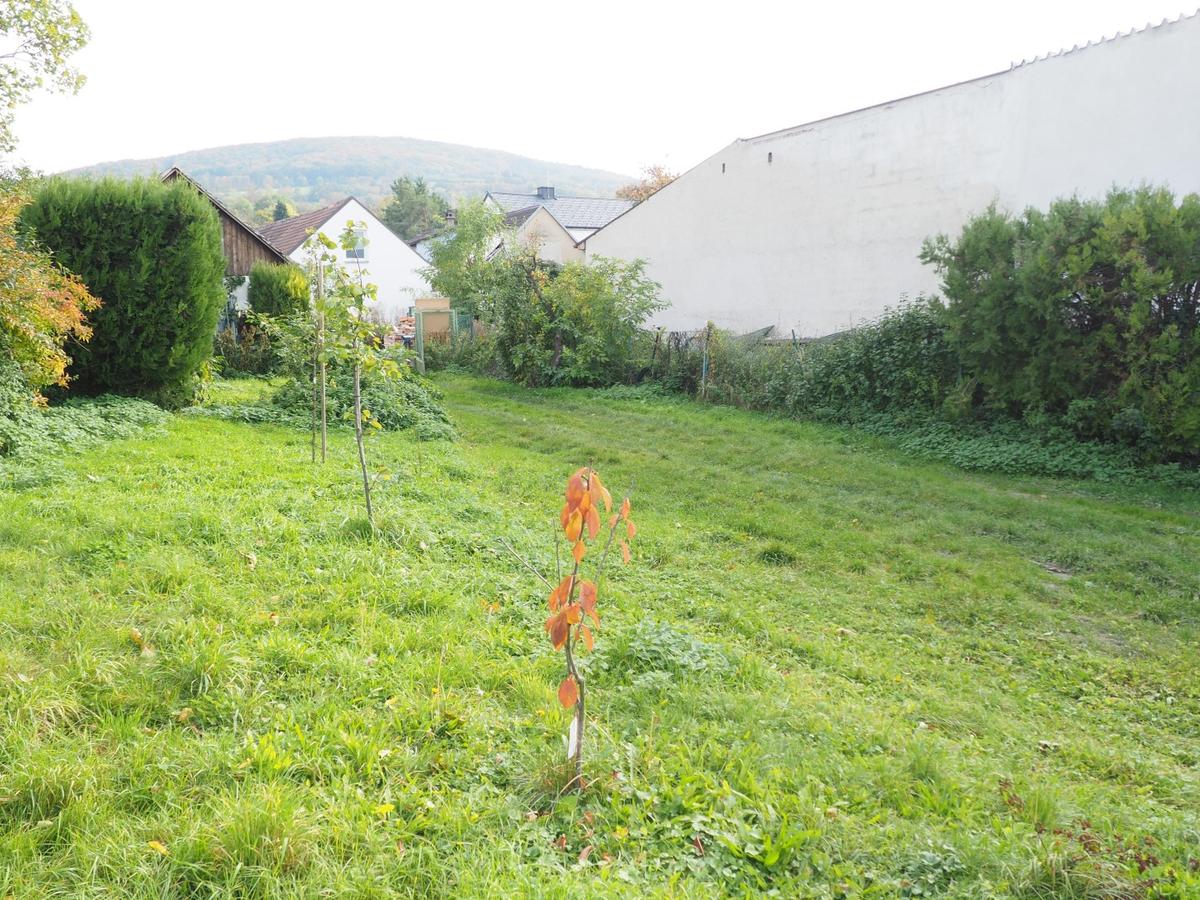 Garten optional