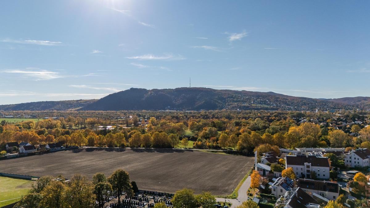 02 EFH Langenzersdorf - Panorama