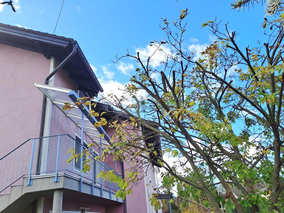 gepflegtes Zweifamilienhaus