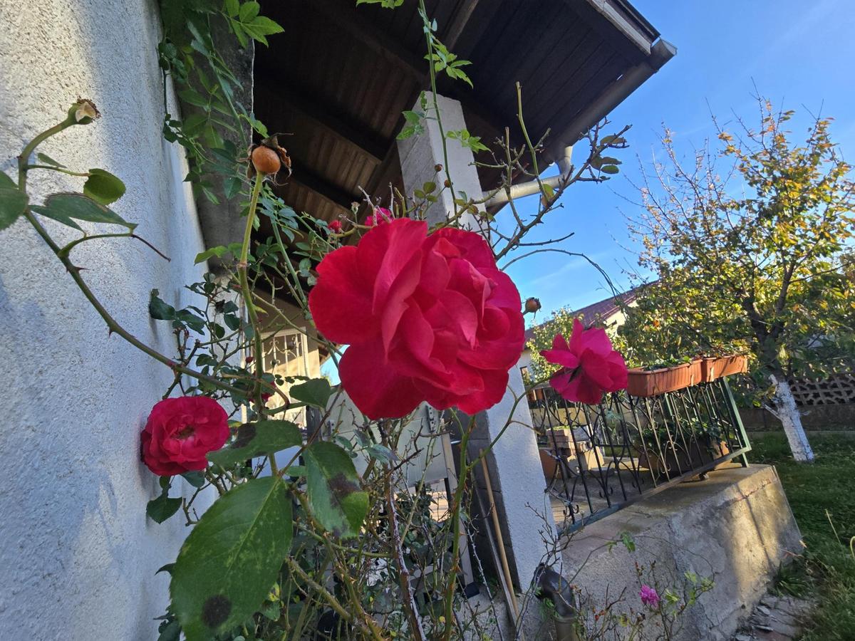 Theresienfeld_1626/190022