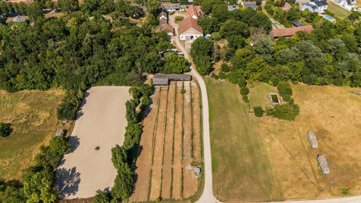 Reithof 2301 Andlersdorf