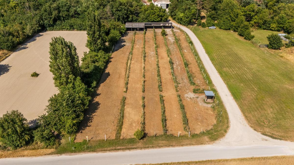 Reithof 2301 Andlersdorf