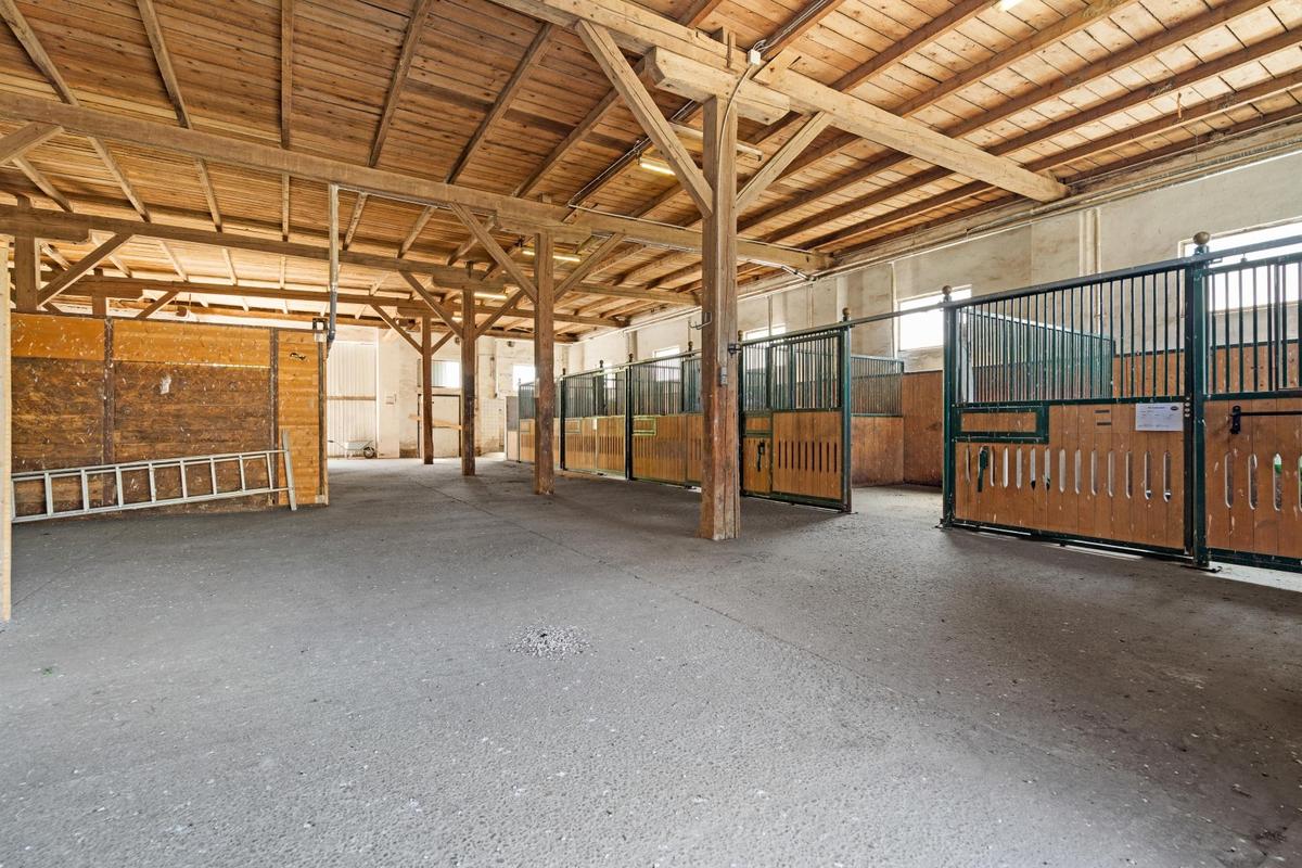 Reithof 2301 Andlersdorf