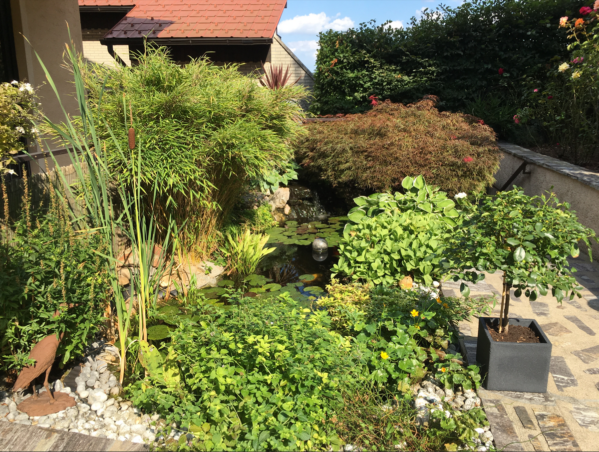 Terrasse, Archivaufnahme
