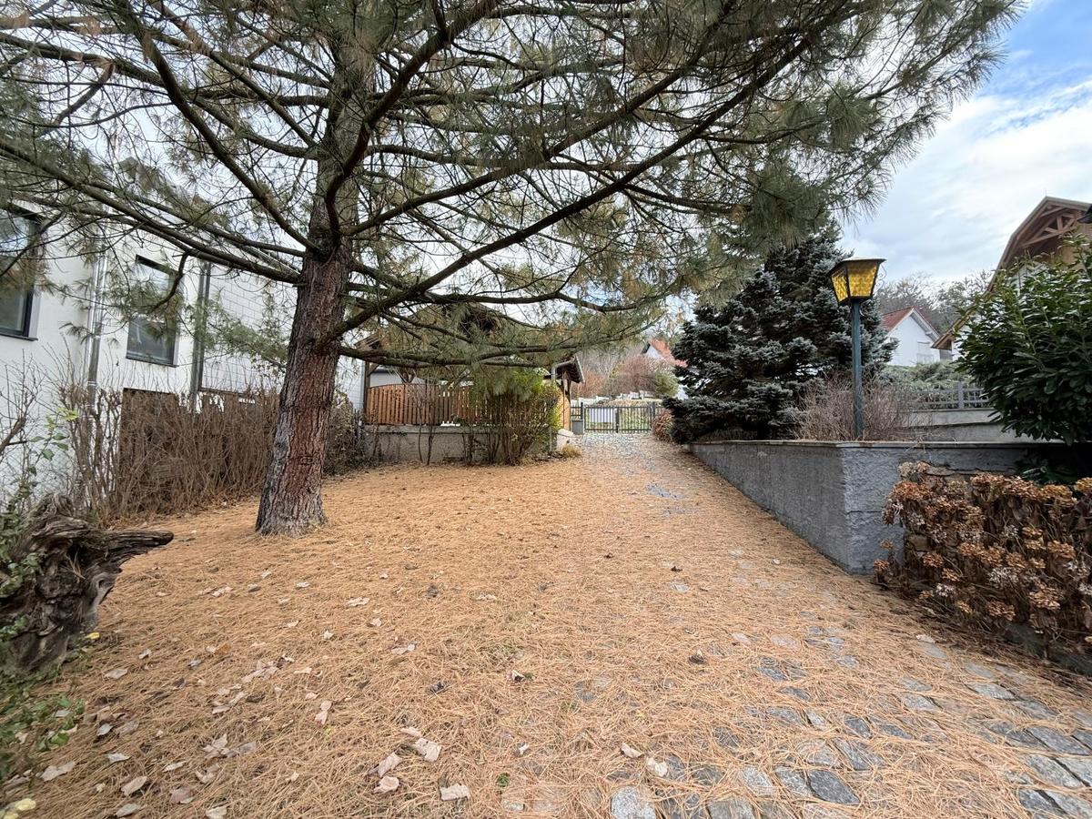 Zufahrt in den Garten