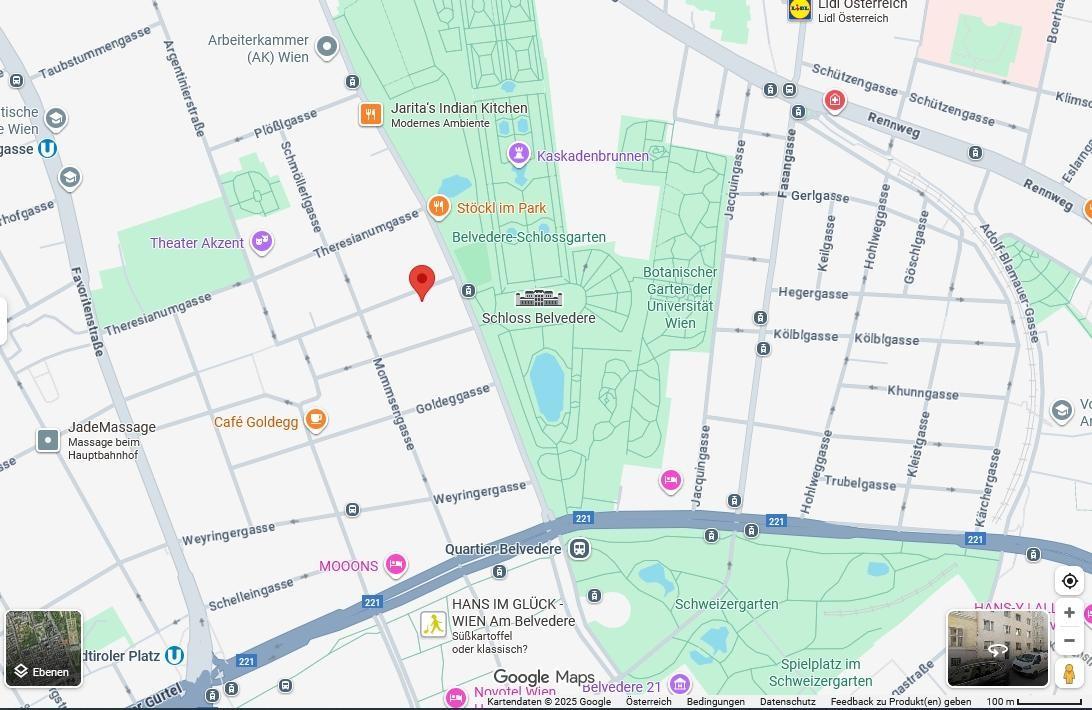 Google Maps Belvederegasse