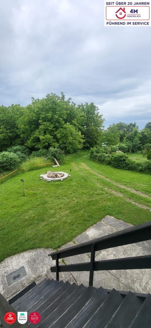 Blick vom Haus in den Garten