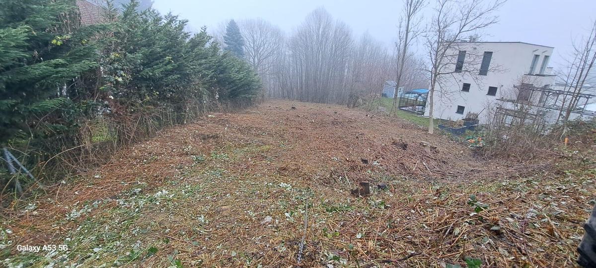 01 Baugrund in Eichgraben