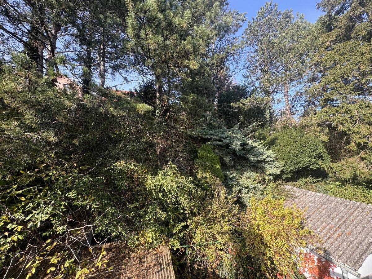 10 Baugrund in Katzelsdorf