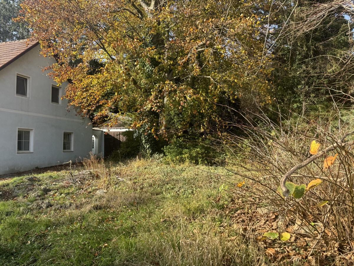 07 Baugrund in Katzelsdorf