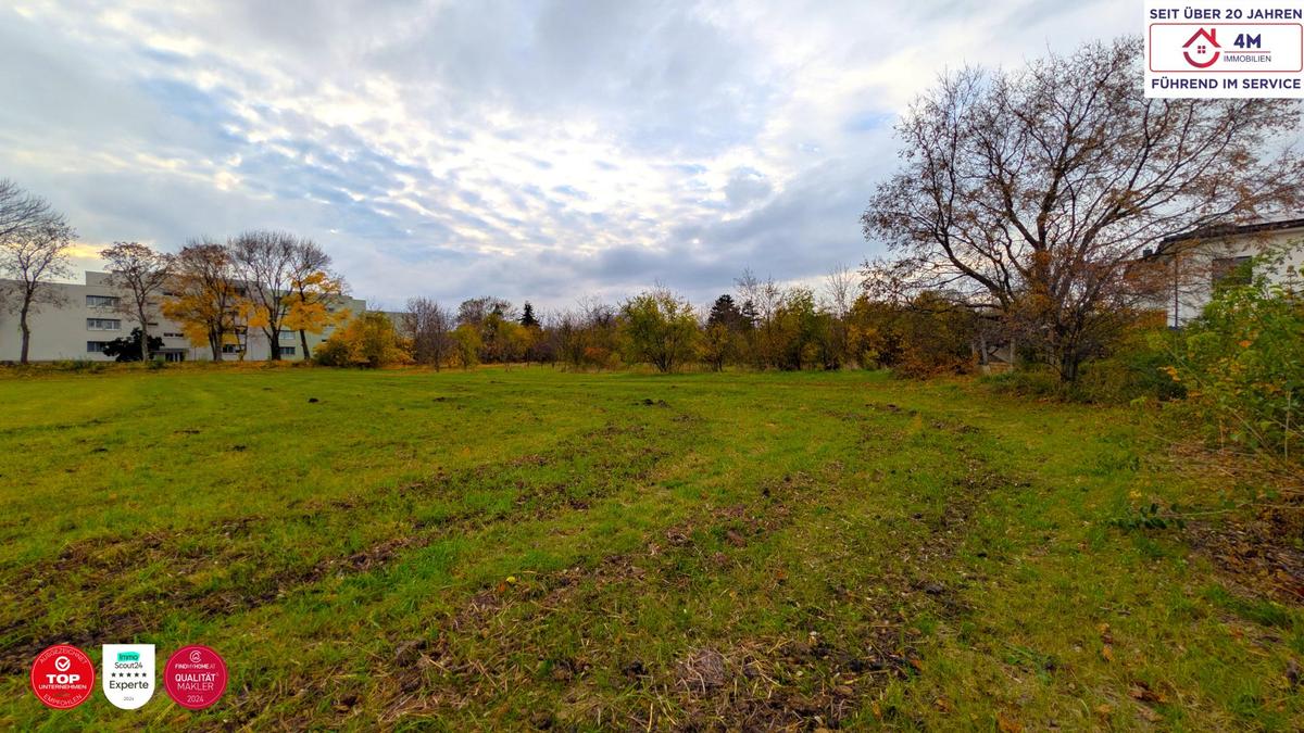 Grundstück vorne Links