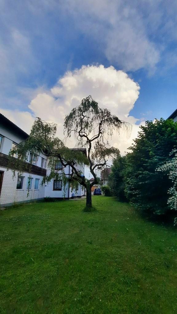 19 Garten mit Haus in Petzenkirchen