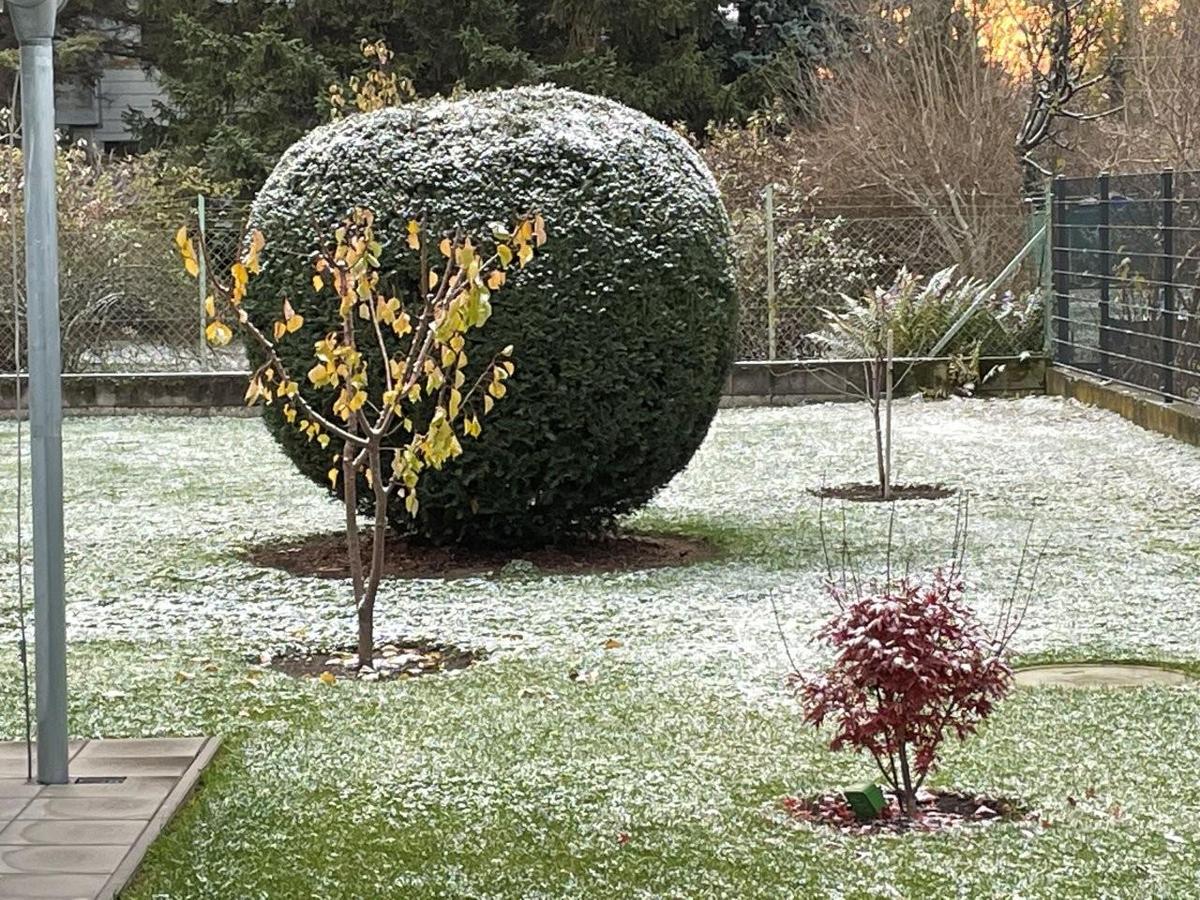 6 Garten Winterlandschaft