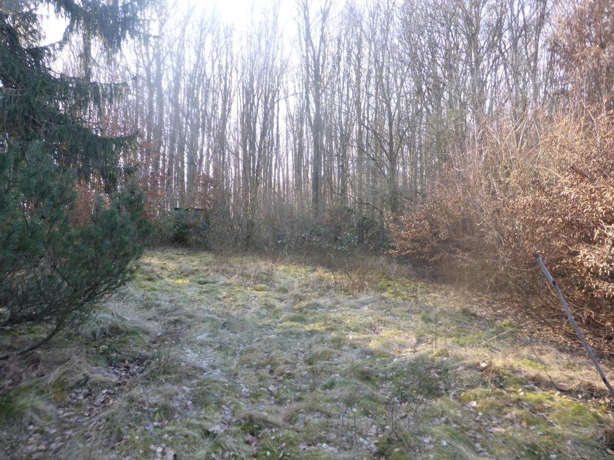 04 Grundstück in Mauerbach