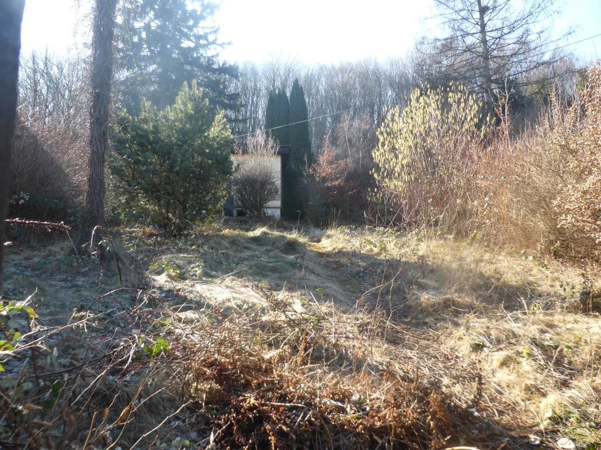 06 Grundstück in Mauerbach