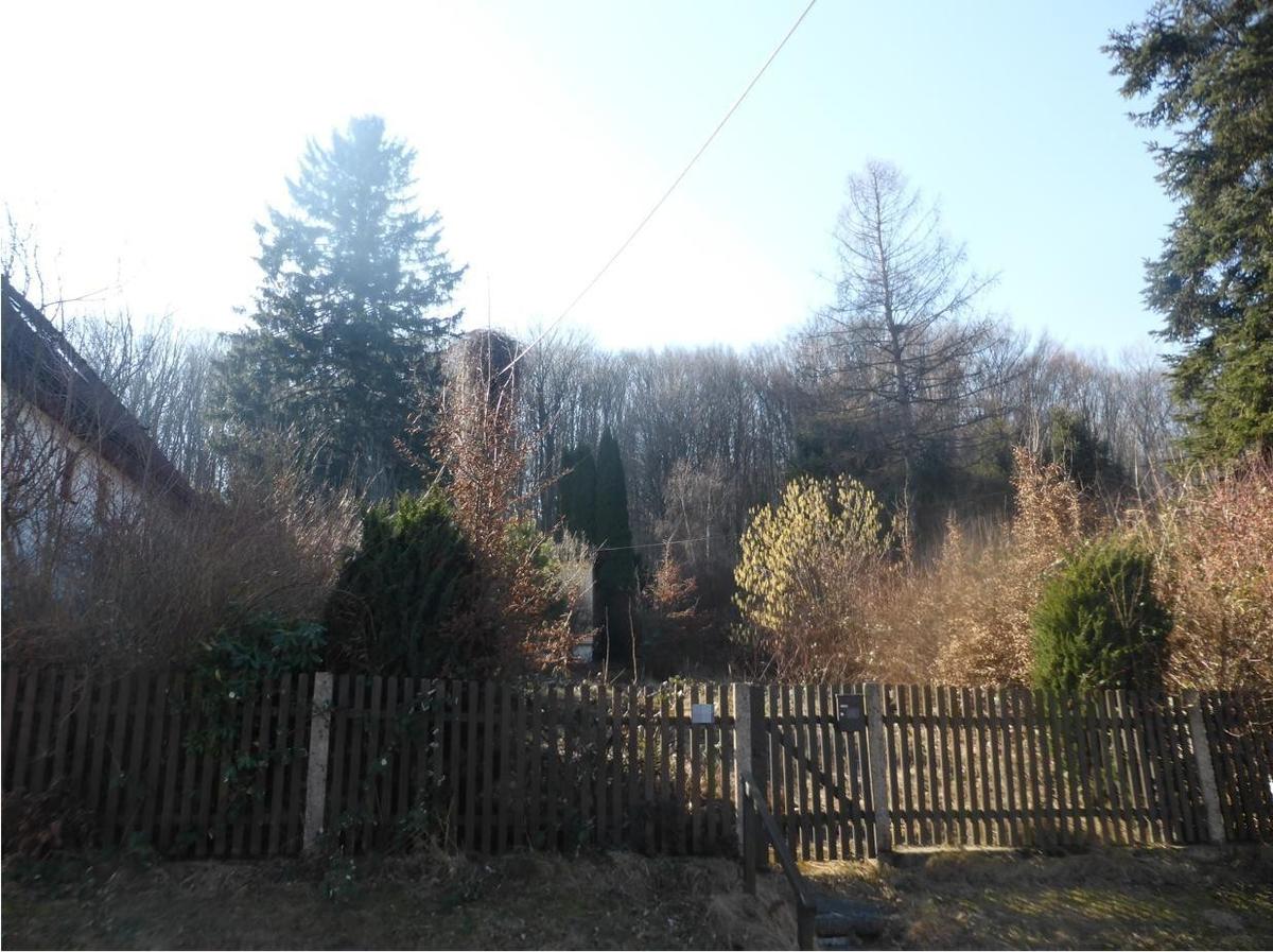 08 Grundstück in Mauerbach