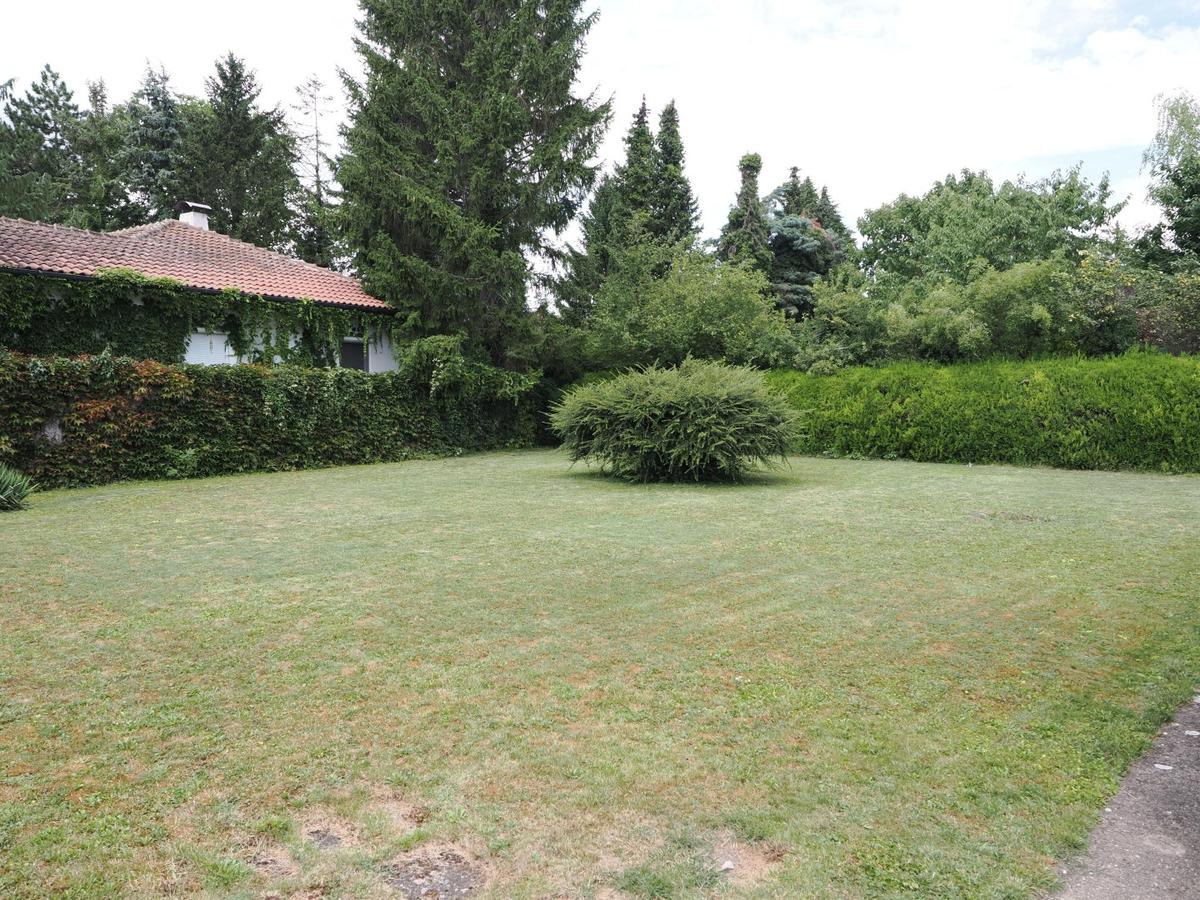 EFH 3430 Tulln - Garten