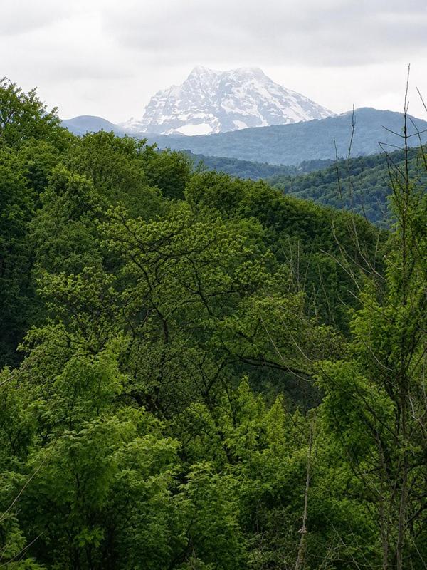 04 Ausblick Ötscher