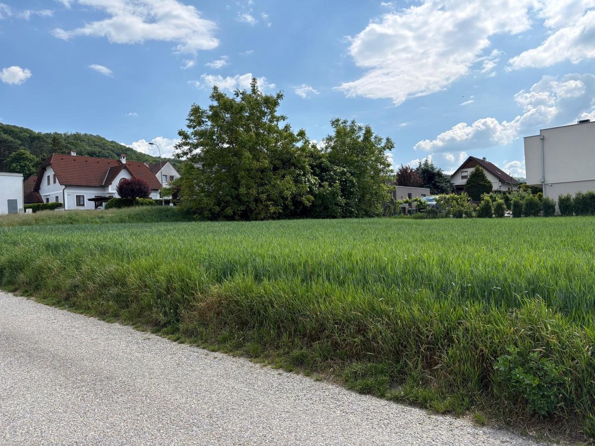 01 Baugrundstück Wördern Süd Seite