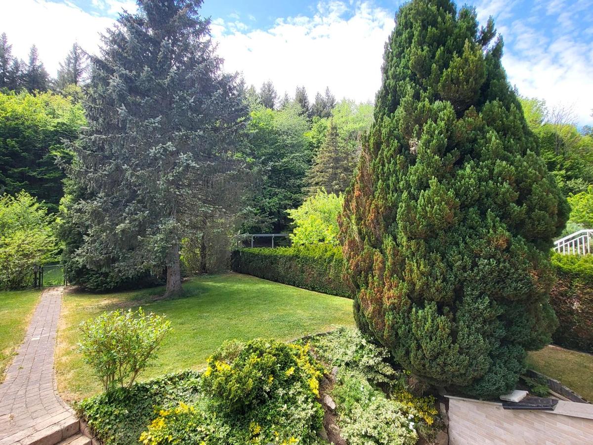 03 Garten (5)