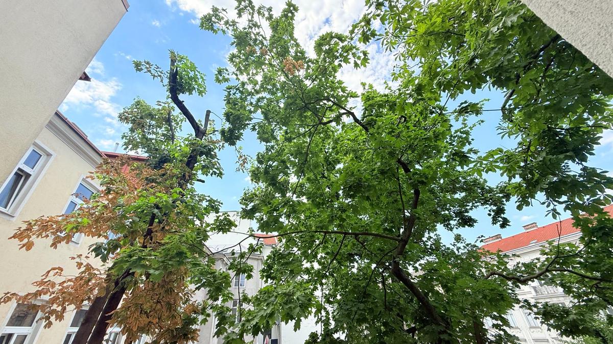 Ausblick der gesamten Wohnung