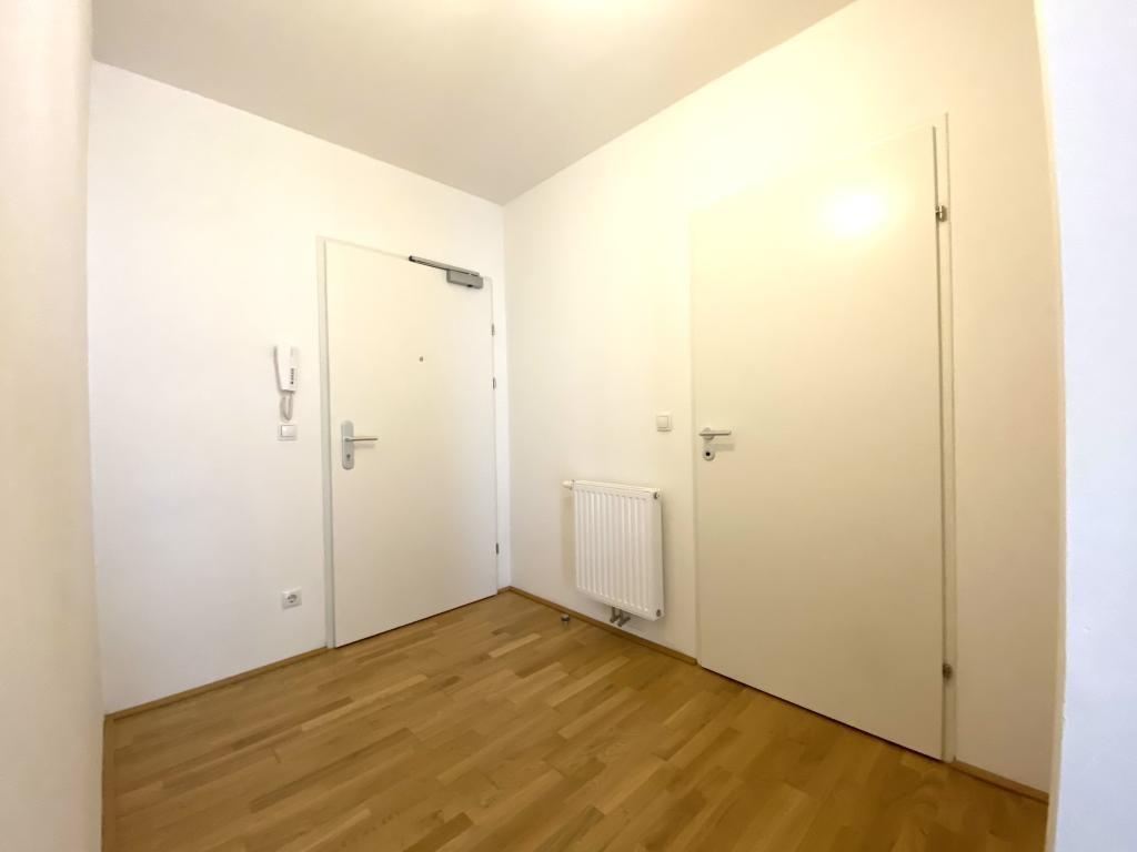 Vorraum - Blick zur Eingangstür