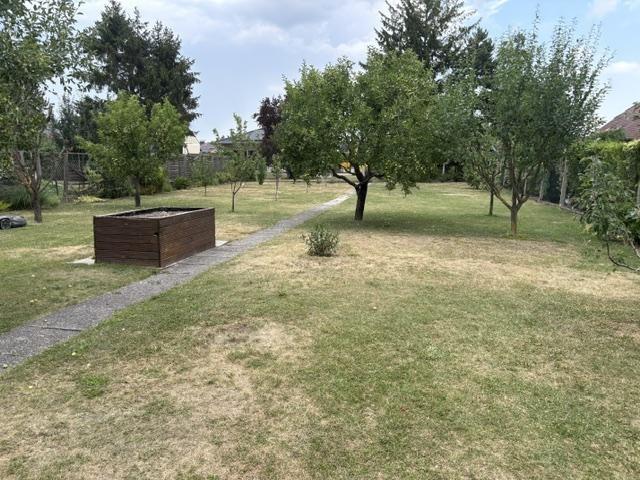 15 Garten