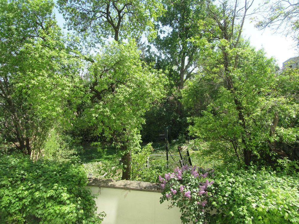 7 Aussicht ins Grüne