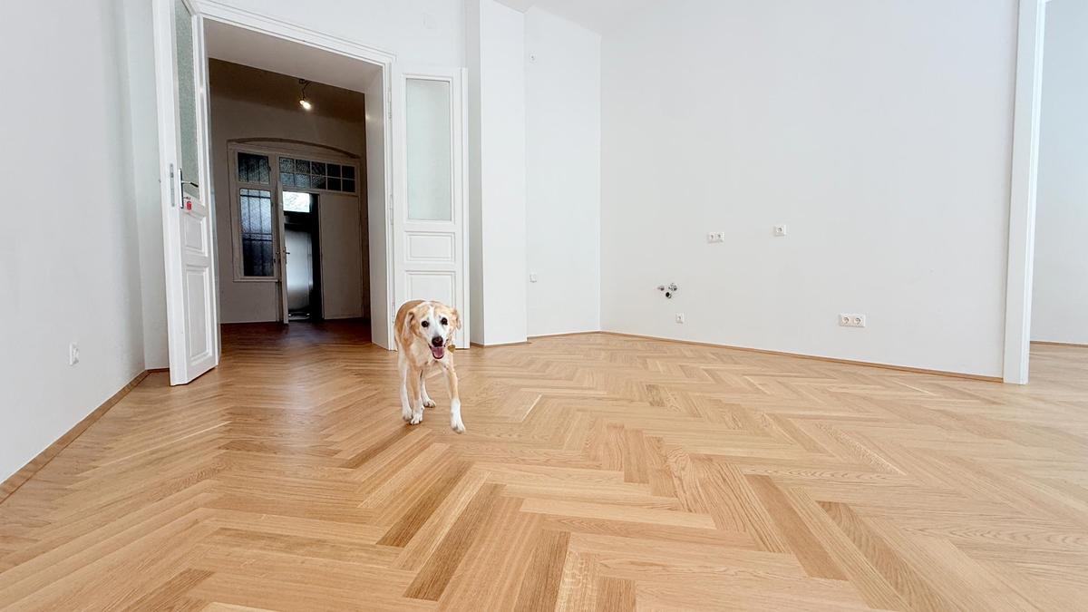 Wohnraum mit Blick in den Vorraum