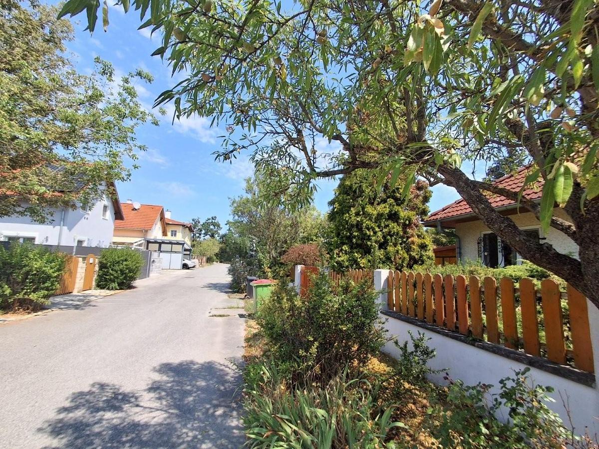 40 Gartenzaun Strasshof