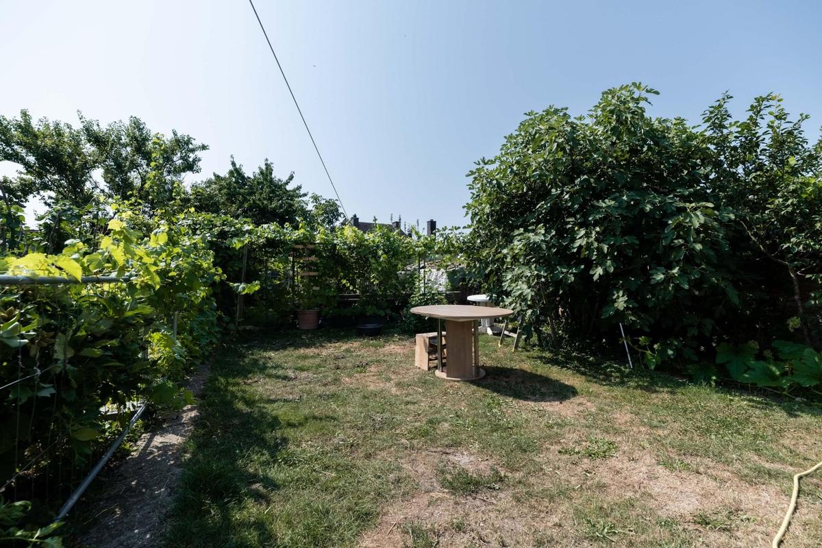 23 Garten