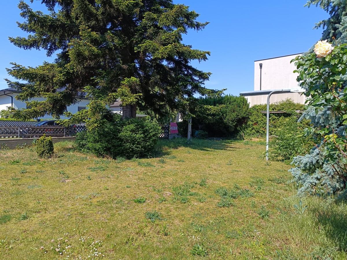 6 2285 Leopoldsdorf im Marchfelde Gänserndorf Baug