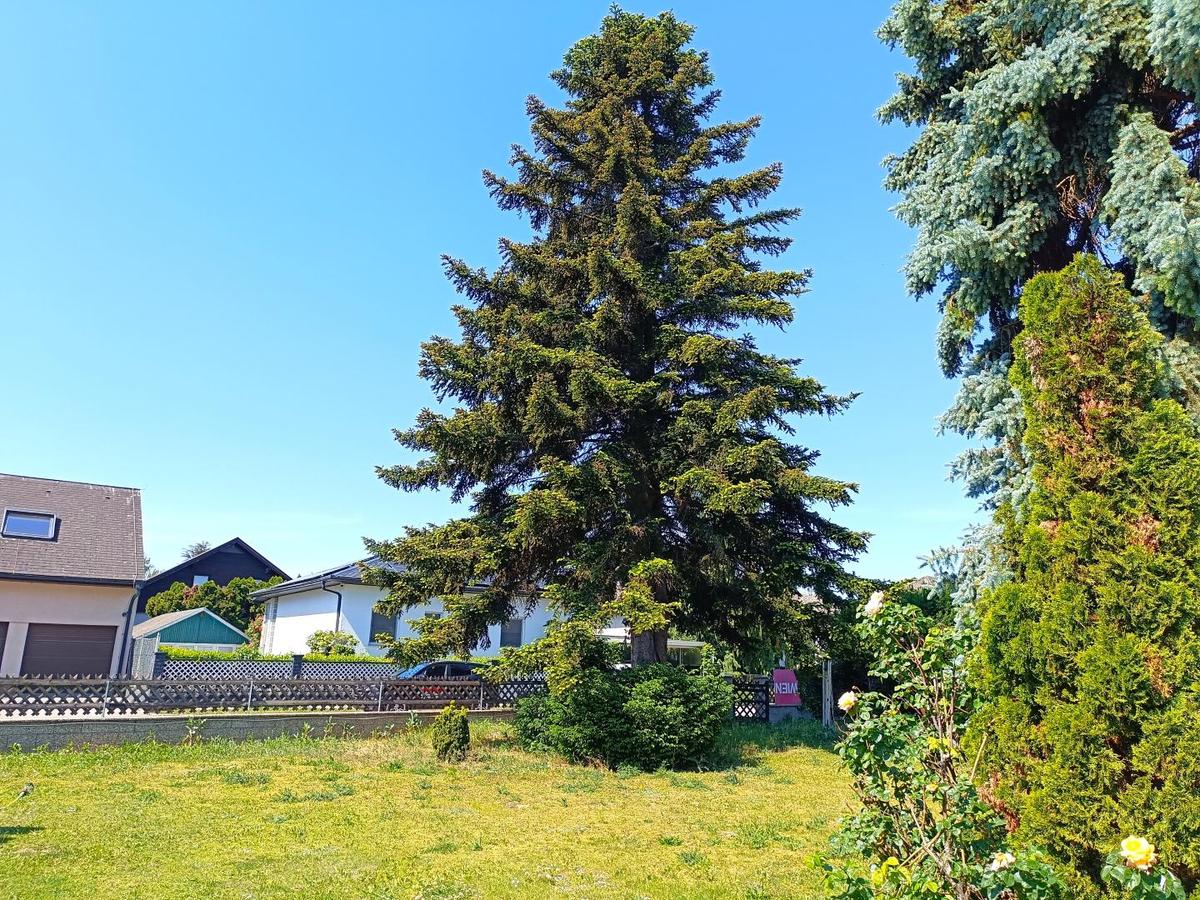 8 2285 Leopoldsdorf im Marchfelde Gänserndorf Baug