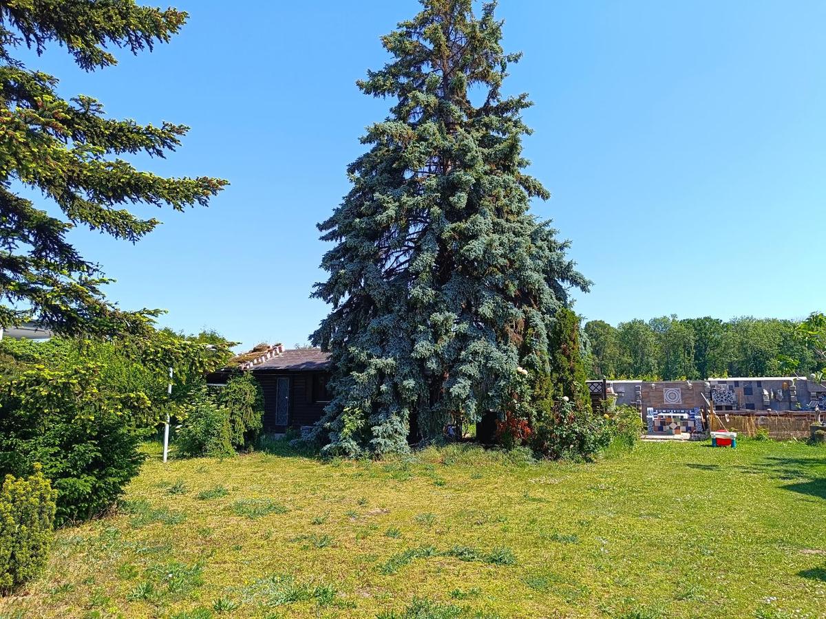 1 2285 Leopoldsdorf im Marchfelde Gänserndorf Bau