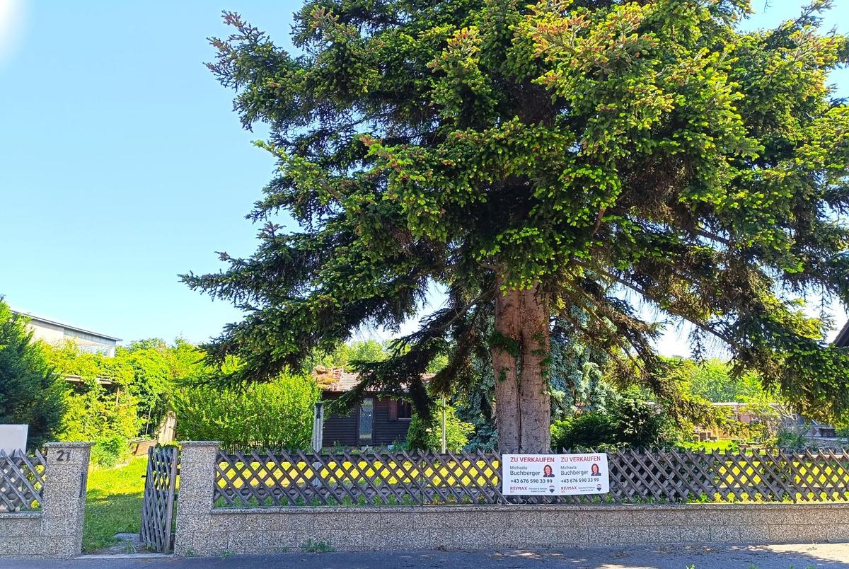 12 2285 Leopoldsdorf im Marchfelde Gänserndorf Bau