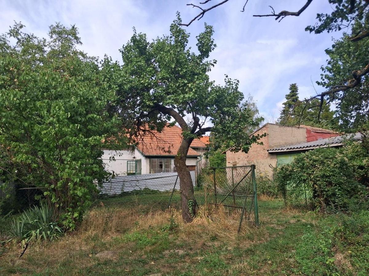 11 Grundstück mit Altbestand 7053 Hornstein