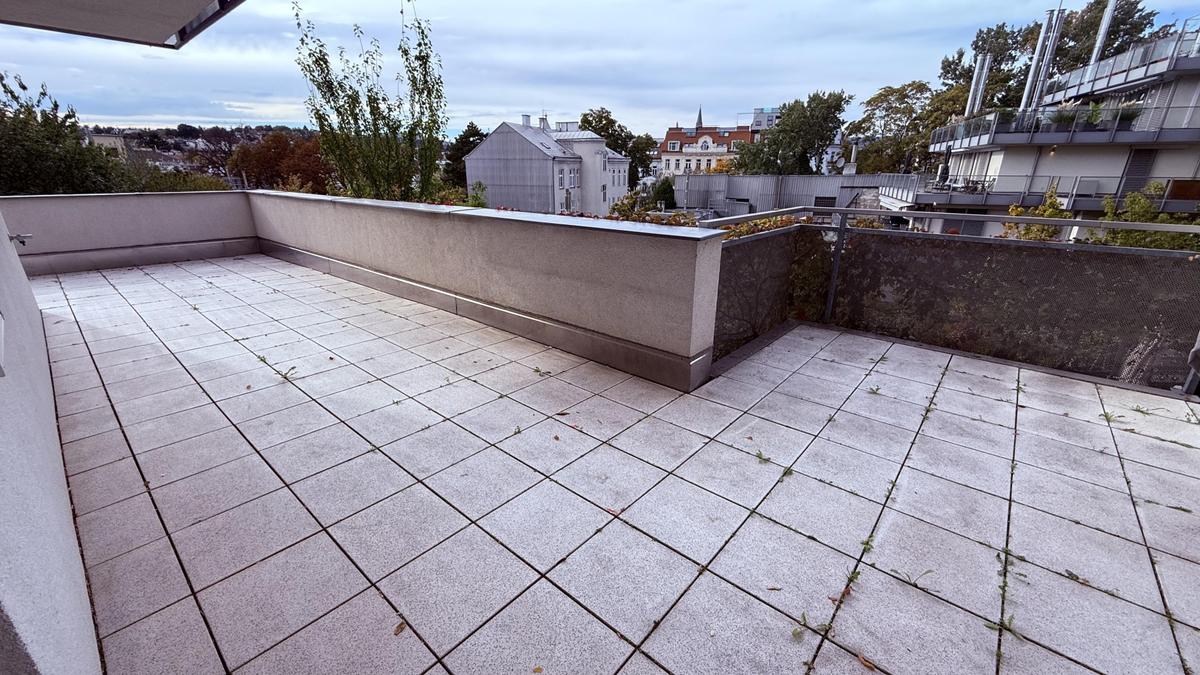 großzügige Terrasse