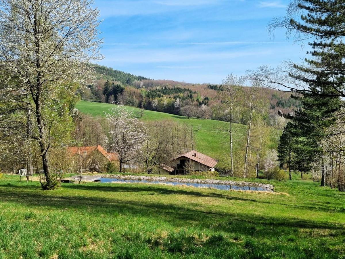 Liegenschaft in Pressbaum Obj. 3818