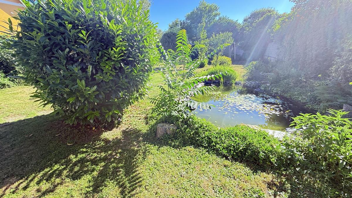 Blick in den Garten