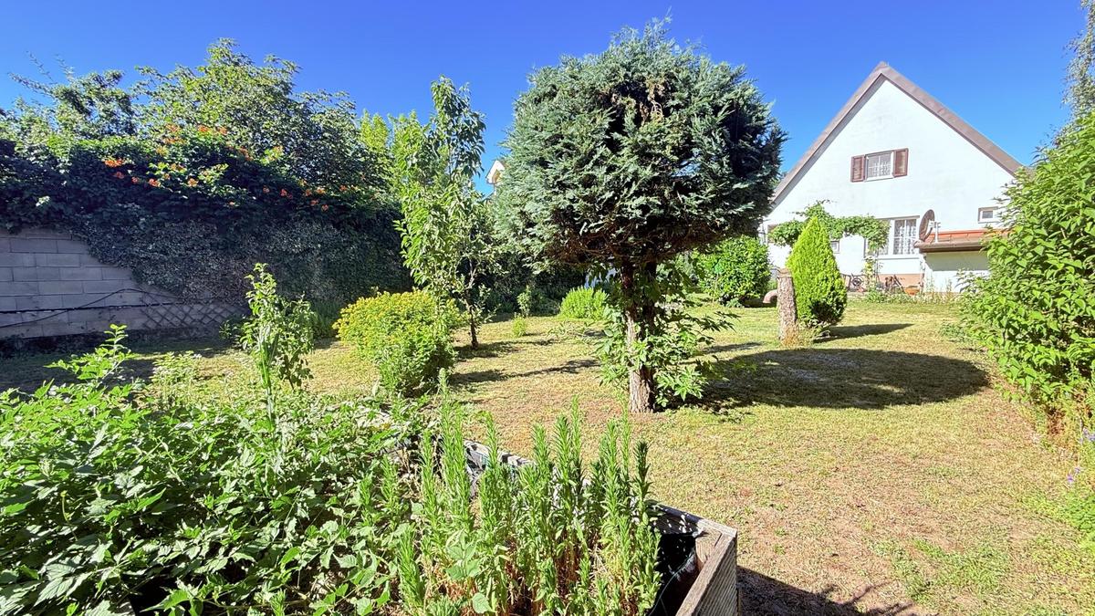 Garten - Blick zum Haus