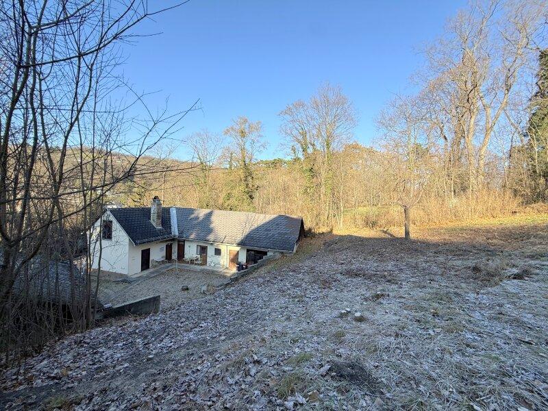 Grundstück mit Altbestand