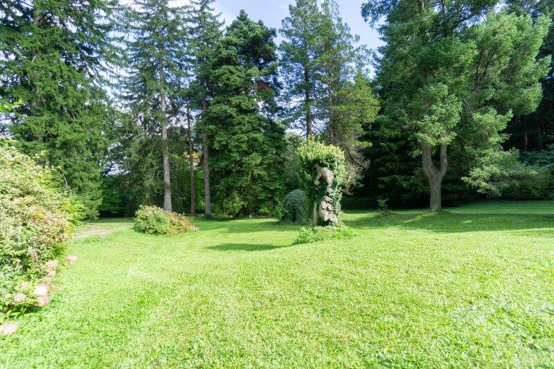 weitläufiger Garten