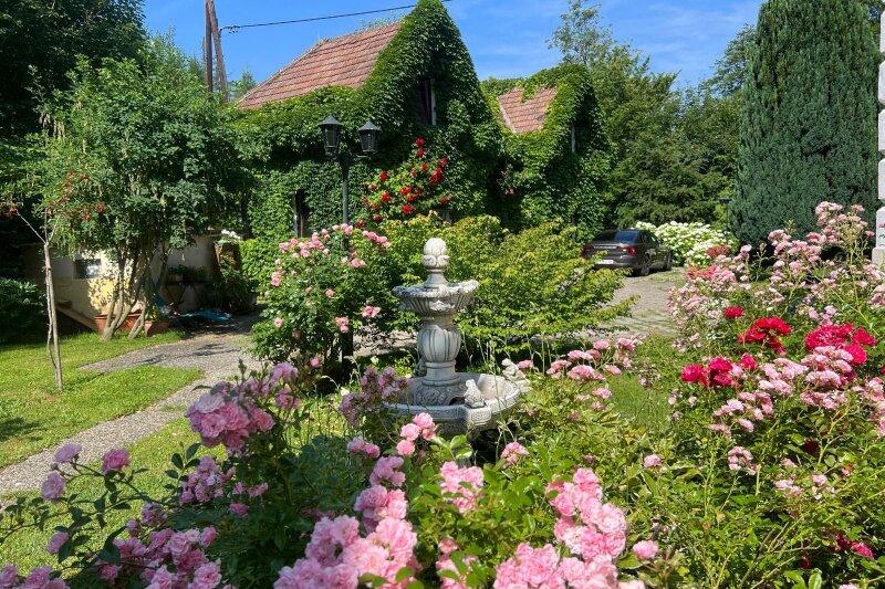 Terrasse und Garten
