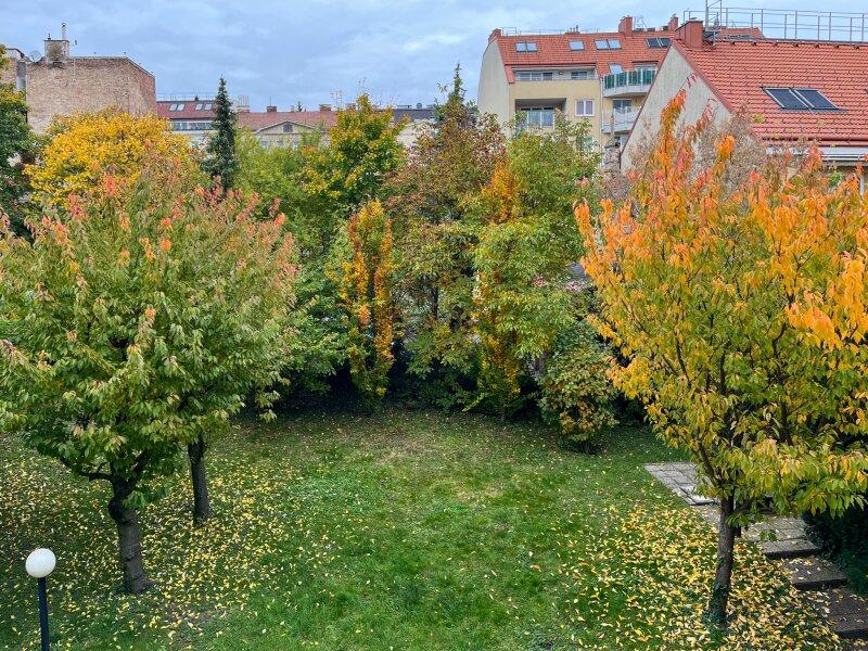 Aussicht in den Garten